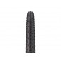 Neumático Schwalbe RACING RAY S/RACE/TLE/EVO 29x2.25