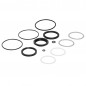 Kit de retenes FOX SCOTT NUDE TR/T. AIR SLEEVE REBUILD Kit de retenes FOX SCOTT NUDE TR/T. AIR SLEEVE REBUILD