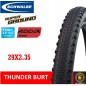 Neumático Schwalbe THUNDER BURT S/Ground ADDIX Speed 29x2.35