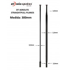 Rayos DT SWISS AEROLITE 300mm Straightpull Planos