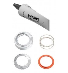 Kit Ratchet Full 54T DT SWISS EXP 240