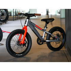 Bicicleta PATROL KIDS ARO 16" - RED/SILVER