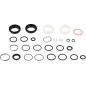 Kit Retenes Rock Shox 200H A1 Boost Judy Gold/Silver