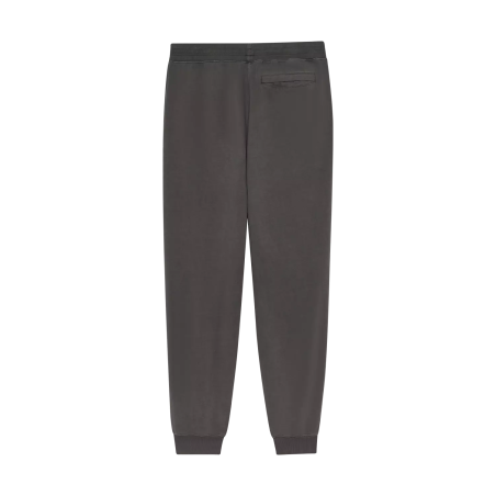 Buzo FOX JOGGER WORDMARK GRIS