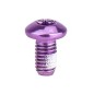 Perno Freno Disco Acero INOX M5x9mm Morado (1 Uni)
