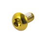 Perno Freno Disco Acero INOX M5x9mm Dorado (1 Uni)