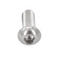 Perno Freno Disco Acero INOX M5x10mm Plateado (1 Uni)