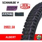 Neumático Schwalbe ALBERT Gravity Pro Radial ADDIX Ultra Soft 29x2.50