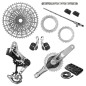 Grupo Transmisión Eagle GS 1987 AXS DUB WIDE 55mm Q174 DM 32-34T T-Type 126L 10-52T