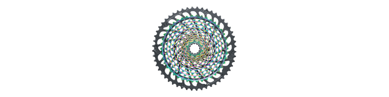 MTB y E-BIKE